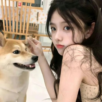 七合圣石战记：银月之翼